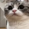 😬