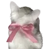 🎀