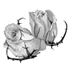 🌹