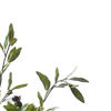 🌿