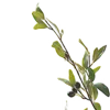 🌿