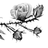 🥀