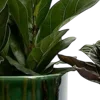 🌿