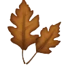 🍁