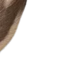 🐀