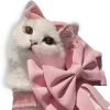 🐱