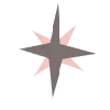 🌟