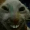 😄