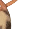 🐀