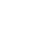 🐥