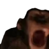 🙉
