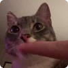 💅