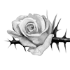 🌹