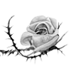 🌹