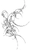 🕸️