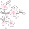 🌸