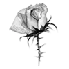 🌹