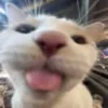 😛