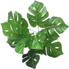 🤩