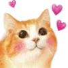🐱