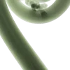 🌿