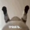 🔞