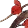 🏵