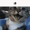 😀
