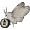 🦋