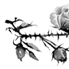 🌹