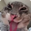 😜
