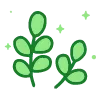 🌱