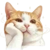 🐱