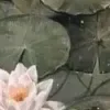 😀