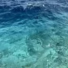 🌊