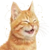 🐱