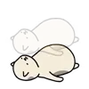 👻