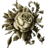 🌹