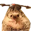 🦔