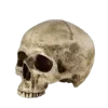 💀