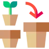 🌱