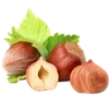 🌰