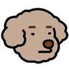 🐶