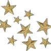 🌟