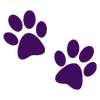 🐾