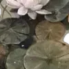 😀
