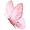 🦋
