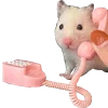 📞