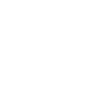 🪽