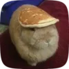 🥞